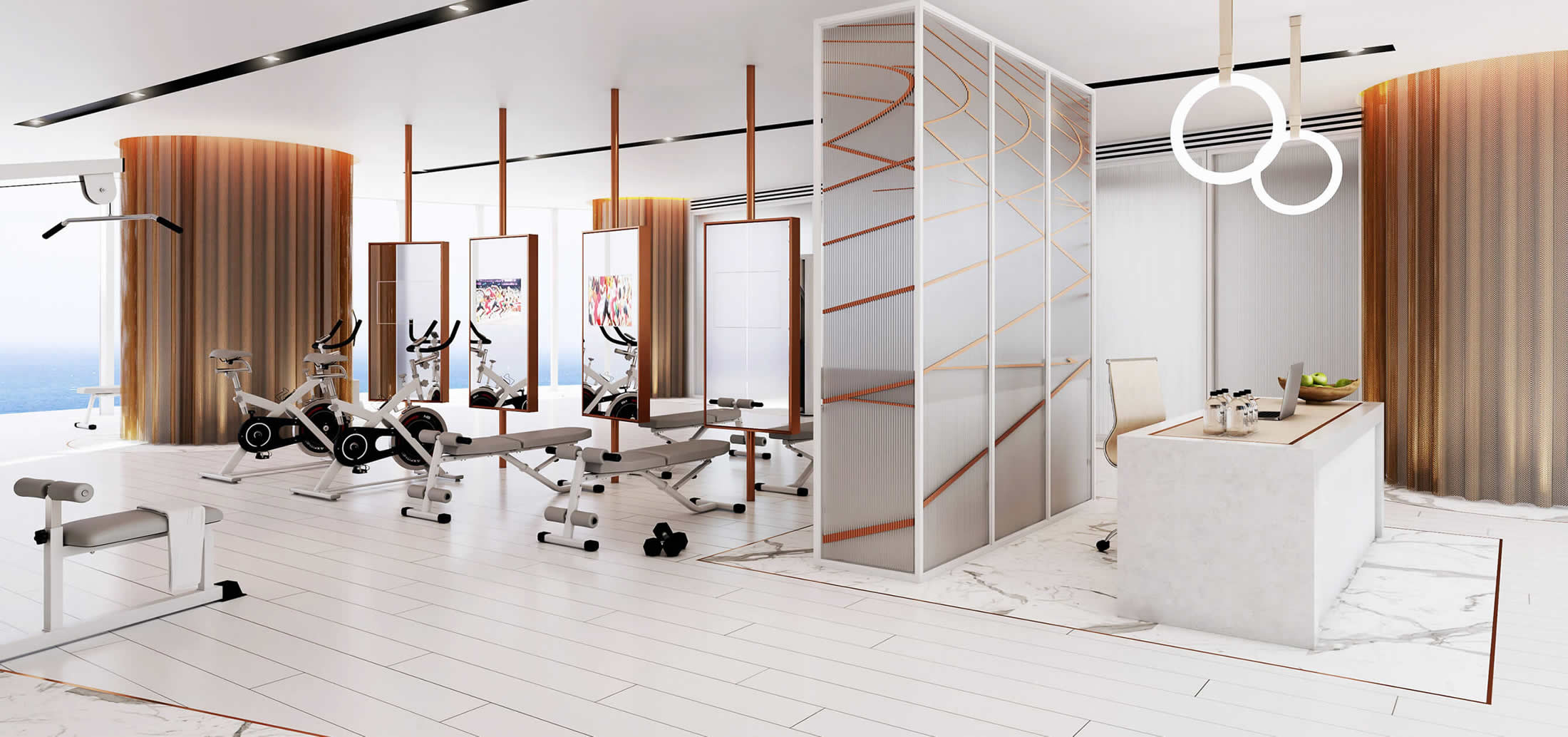 The Gym Area of Sapphire Residences
